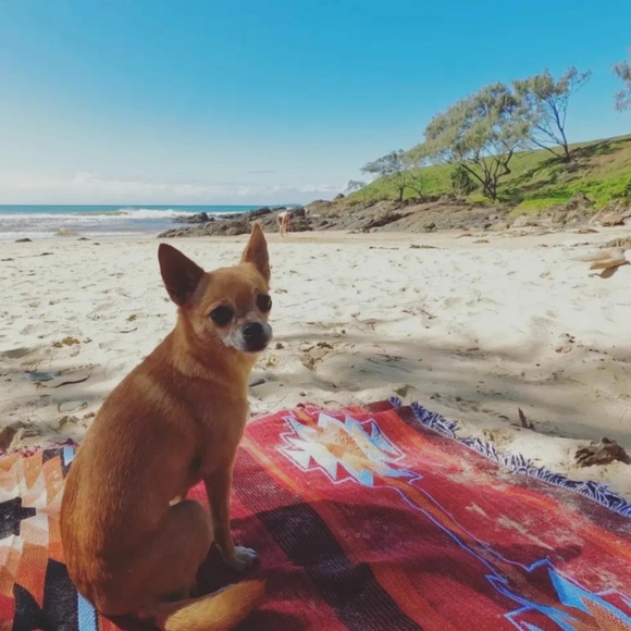 Adventure Blanket - Picture 11 of 13